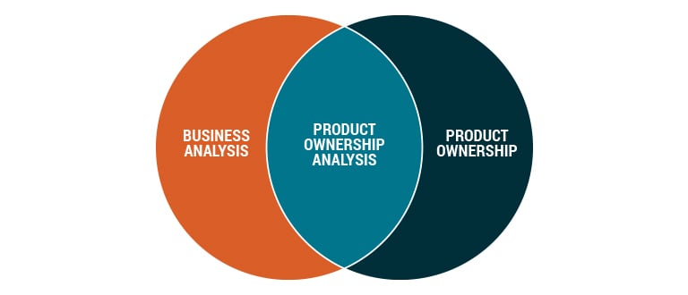 IIBA Infographic